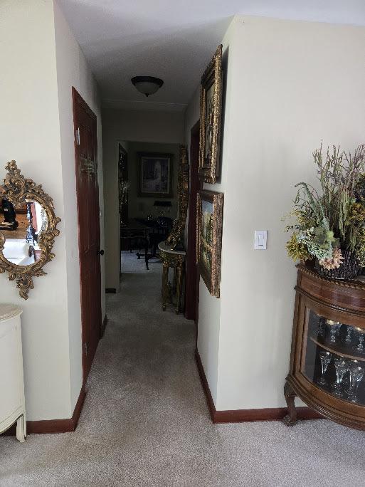 842 Highview Ave, Olympia Fields, IL 60461 - hall featuring carpet flooring