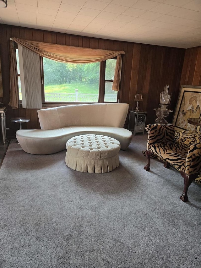 842 Highview Ave, Olympia Fields, IL 60461 - living area with carpet flooring, wooden walls, and plenty of natural light