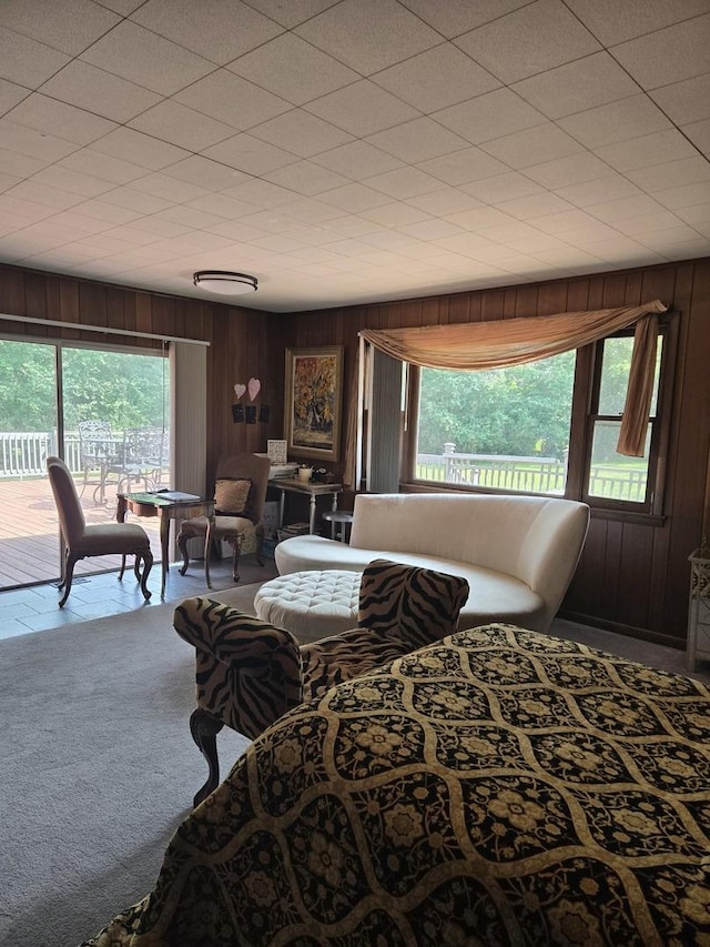 842 Highview Ave, Olympia Fields, IL 60461 - carpeted bedroom with access to outside, wood walls, and multiple windows