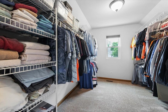 1103 Paul Ct, Fox River Grove, IL 60021 - spacious closet with carpet floors