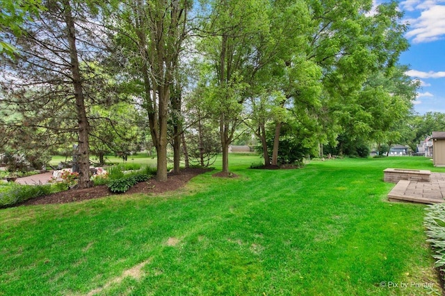1103 Paul Ct, Fox River Grove, IL 60021 - view of green lawn