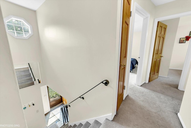 1330 S Mallard Ln, Mount Prospect, IL 60056 - stairs with carpet and baseboards