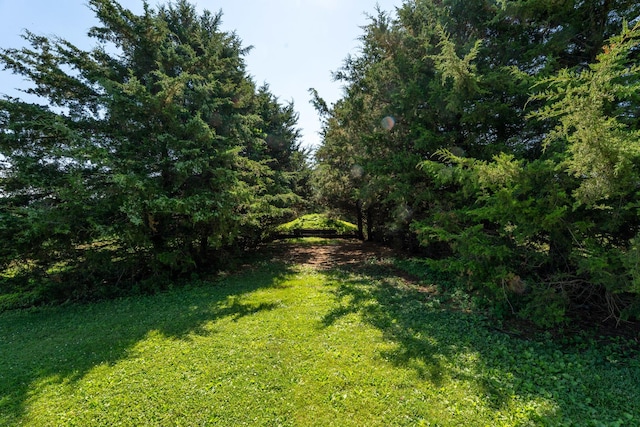 1392 Red Brick Rd, Dixon, IL 61021 - view of green lawn