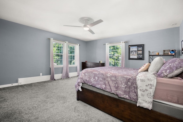 1050 N 8th St, Rochelle, IL 61068 - carpeted bedroom with multiple windows and a ceiling fan