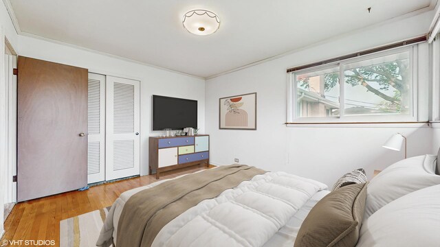 80 E Fremont Ave, Des Plaines, IL 60016 - bedroom featuring wood finished floors, a closet, and ornamental molding