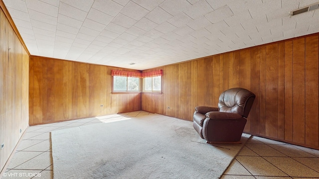 80 E Fremont Ave, Des Plaines, IL 60016 - unfurnished room with wood walls and carpet floors