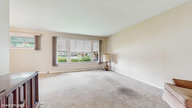 80 E Fremont Ave, Des Plaines, IL 60016 - empty room featuring plenty of natural light and carpet flooring