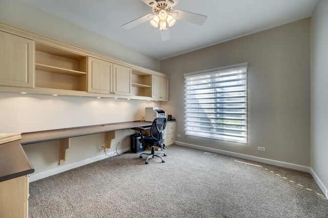 2503 Skylane Dr, Naperville, IL 60564 - photo 19