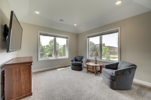 2503 Skylane Dr, Naperville, IL 60564 - photo 24