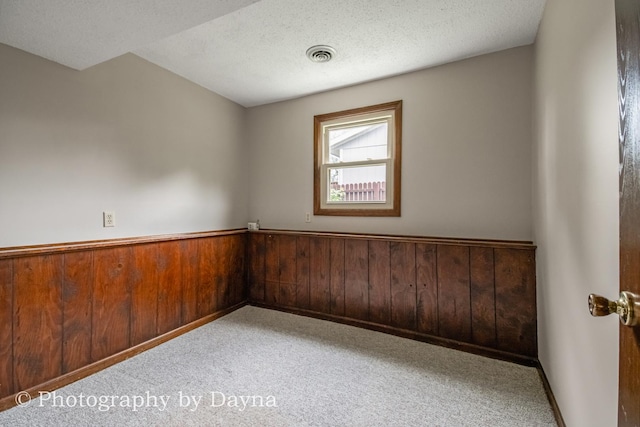 1033 Pheasant Dr, Bradley, IL 60915 - spare room with carpet floors, wainscoting, wooden walls, and a textured ceiling