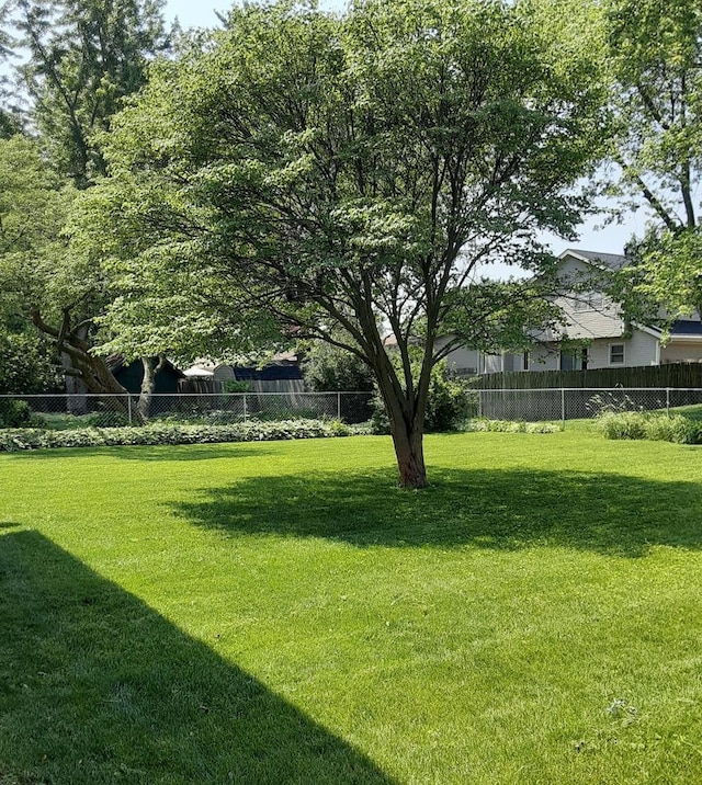 1033 Pheasant Dr, Bradley, IL 60915 - view of yard
