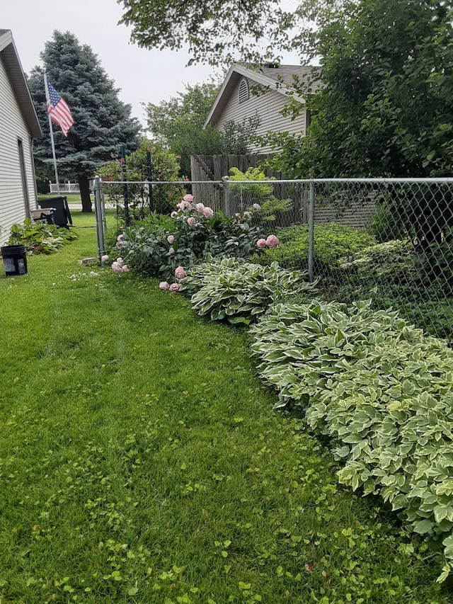 1033 Pheasant Dr, Bradley, IL 60915 - view of yard
