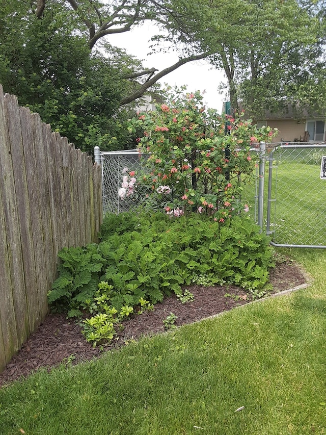 1033 Pheasant Dr, Bradley, IL 60915 - view of yard