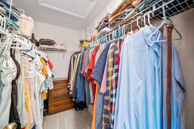 4553 Gardiner Ave, Yorkville, IL 60560 - spacious closet featuring attic access