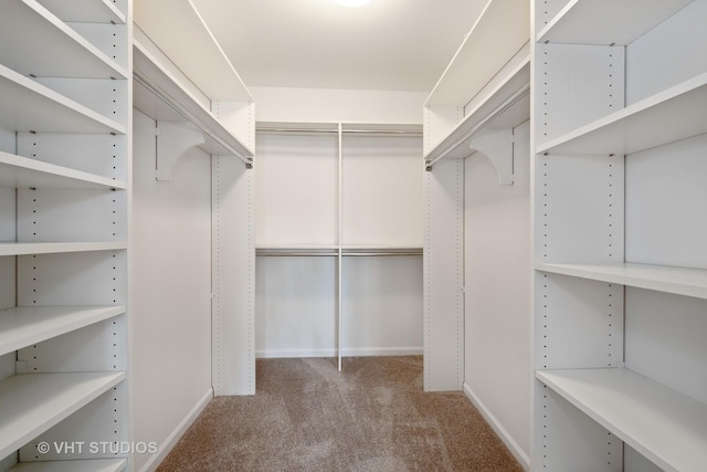 800 Weidner Rd Unit 307, Buffalo Grove, IL 60089 - walk in closet with carpet