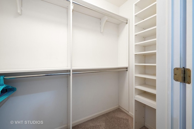 800 Weidner Rd Unit 307, Buffalo Grove, IL 60089 - spacious closet featuring carpet floors
