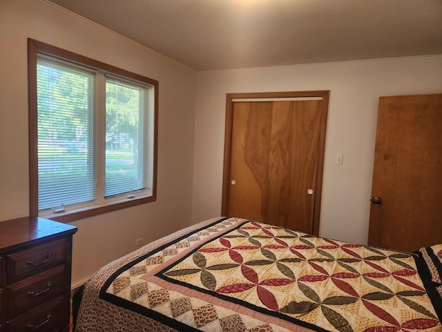 109 S Elm St, Palatine, IL 60067 - bedroom with a closet