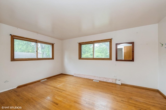 4321 Bay View Dr, Crystal Lake, IL 60014 - spare room with plenty of natural light and light wood-style flooring