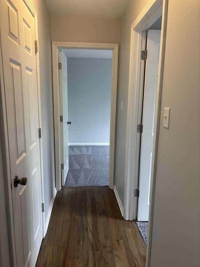 3501 Fountainbleau Dr, Hazel Crest, IL 60429 - hallway featuring dark colored carpet and dark wood finished floors
