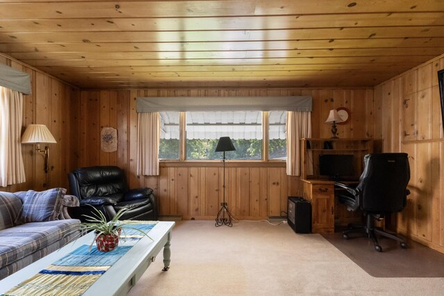 715 N 4th St, Dekalb, IL 60115 - living room with wood walls, carpet floors, wooden ceiling, and a desk
