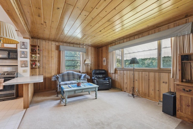 715 N 4th St, Dekalb, IL 60115 - sitting room with wood walls, wood ceiling, and carpet