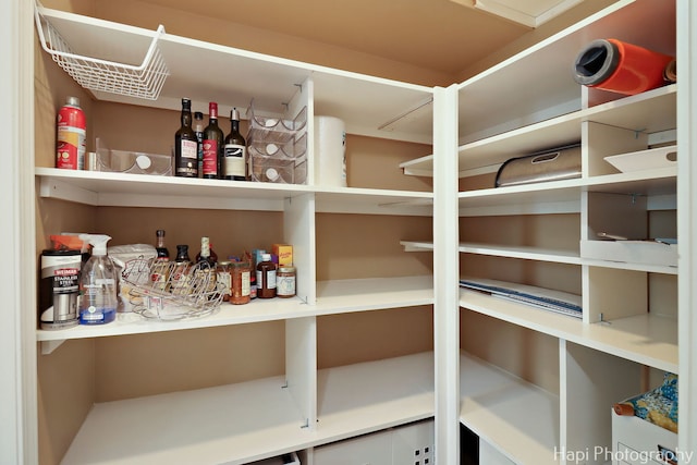 627 Bayview Pt, Schaumburg, IL 60194 - view of pantry