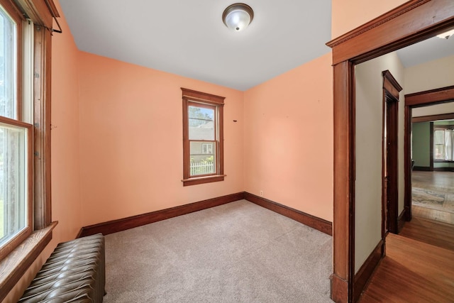 220 N Cedar St, Waterman, IL 60556 - carpeted spare room featuring radiator and baseboards