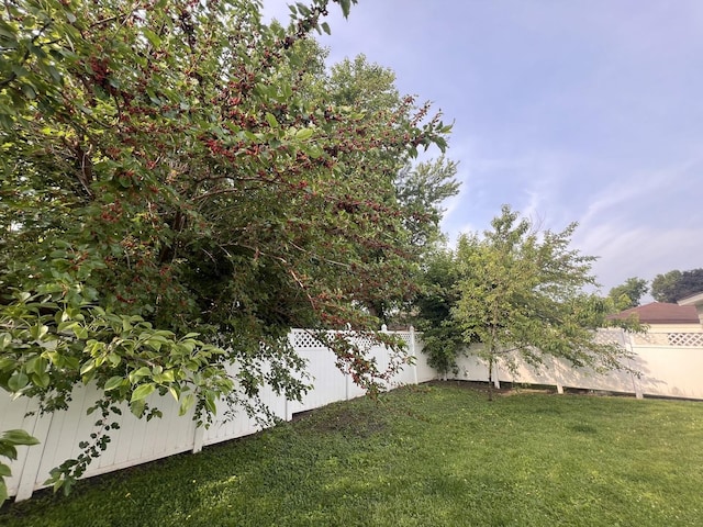 11133 Boeger Ct, Westchester, IL 60154 - view of fenced backyard