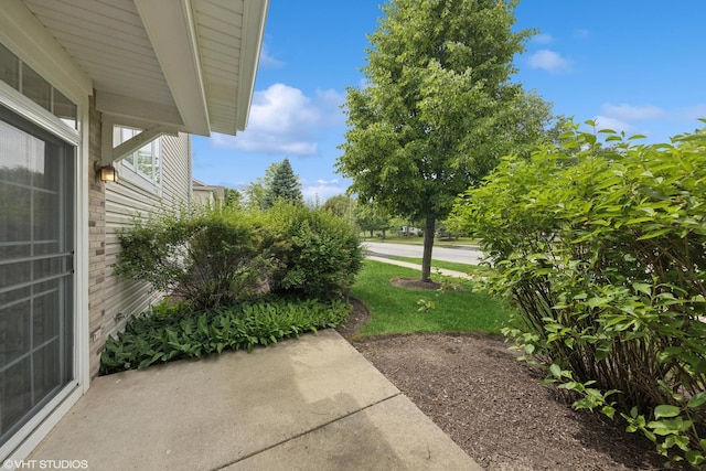 142 W Park Ave Unit C, Sugar Grove, IL 60554 - view of yard