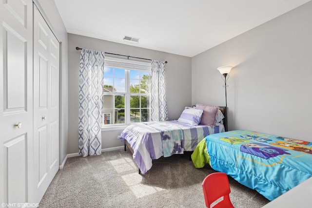 142 W Park Ave Unit C, Sugar Grove, IL 60554 - bedroom with carpet flooring and a closet
