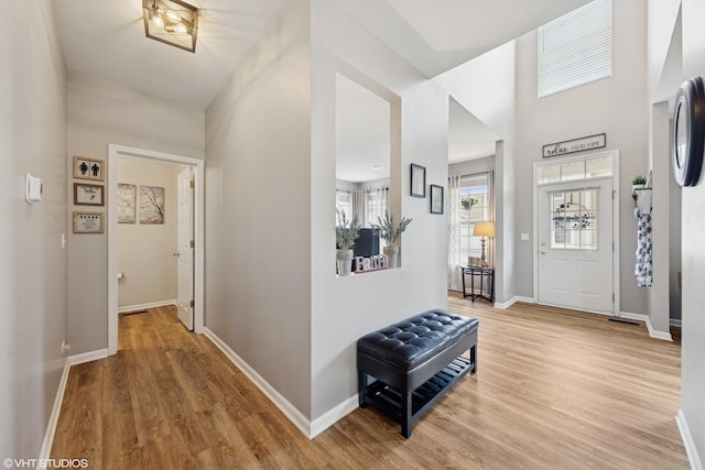 142 W Park Ave Unit C, Sugar Grove, IL 60554 - foyer entrance featuring wood finished floors and baseboards