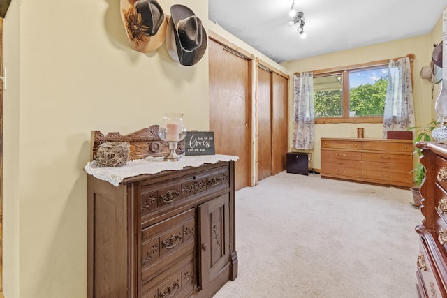 277 Mcmillan St, Grayslake, IL 60030 - carpeted bedroom featuring multiple closets