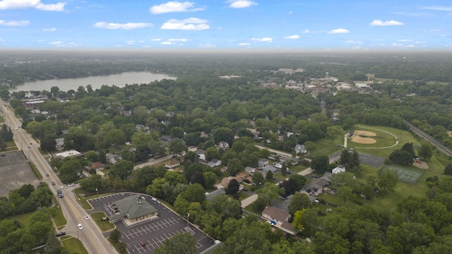 277 Mcmillan St, Grayslake, IL 60030 - aerial view of a large body of water and a heavily wooded area