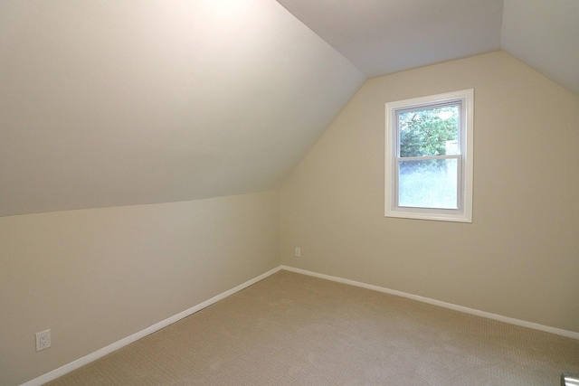 123 E Pineview Dr, Round Lake Park, IL 60073 - bonus room with lofted ceiling and light colored carpet