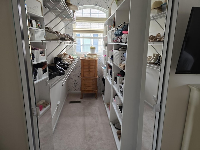 1530 Laurel Oaks Dr, Streamwood, IL 60107 - view of storage area