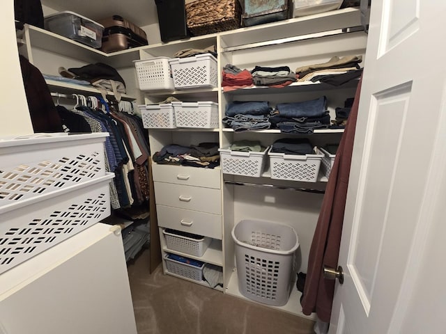 1530 Laurel Oaks Dr, Streamwood, IL 60107 - view of walk in closet