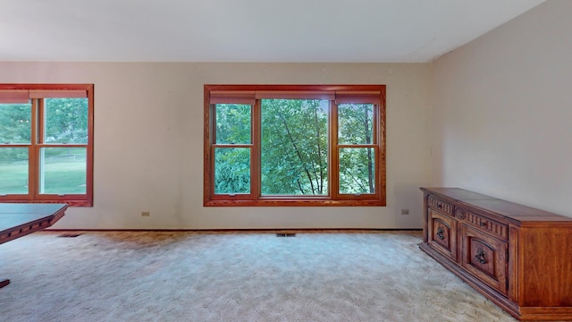 198 S Circle Ave, Bloomingdale, IL 60108 - unfurnished room featuring plenty of natural light and light carpet