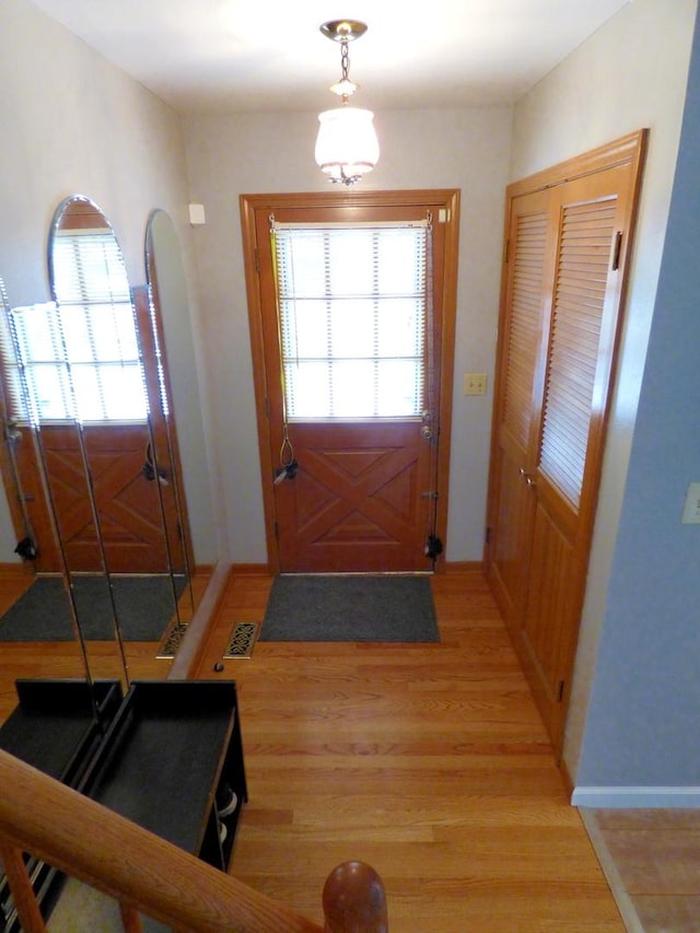1420 E Lake Louise Dr, Palatine, IL 60074 - entrance foyer featuring plenty of natural light and light wood-style floors