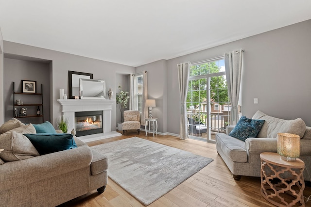 3072 Bridgeham St, Elgin, IL 60124 - living room featuring light wood-style floors and a glass covered fireplace