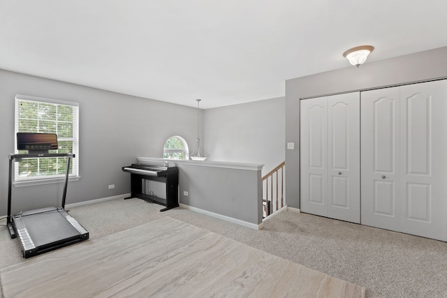 3072 Bridgeham St, Elgin, IL 60124 - exercise area with carpet and healthy amount of natural light