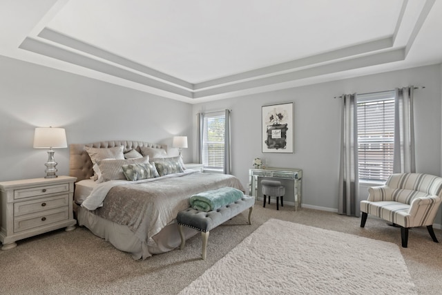 3072 Bridgeham St, Elgin, IL 60124 - bedroom featuring a raised ceiling and light carpet