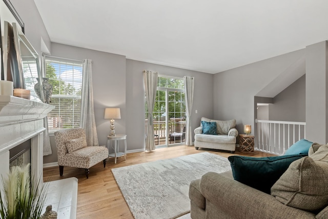 3072 Bridgeham St, Elgin, IL 60124 - living room with light wood-type flooring and a glass covered fireplace