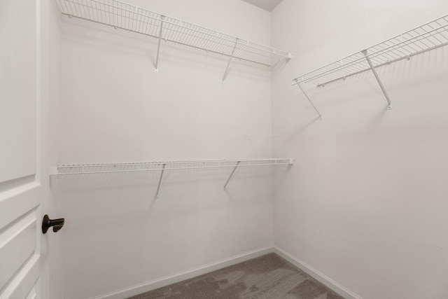 2929 Portage St, Naperville, IL 60564 - walk in closet featuring carpet floors