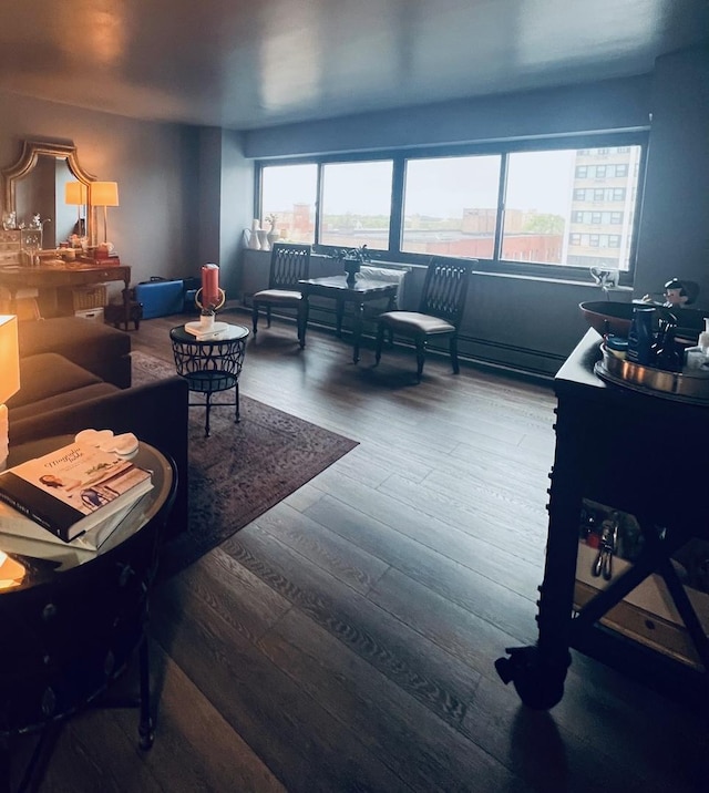 7337 S S Shore Dr Unit 708, Chicago, IL 60649 - living area featuring wood finished floors