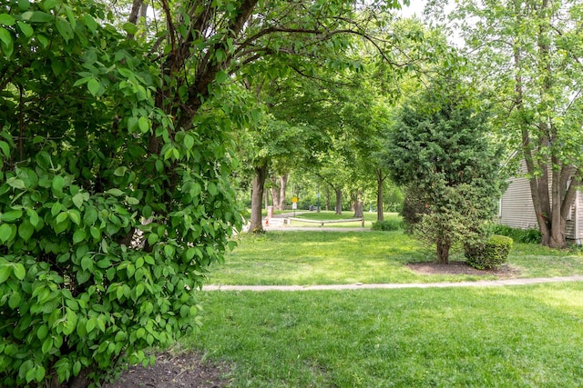 2417 Lyons St, Evanston, IL 60201 - view of property's community with a lawn