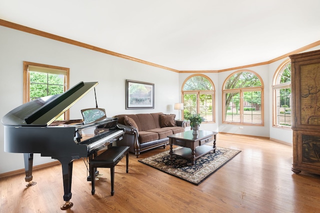 8025 Kirkcaldy Ct, Palos Heights, IL 60463 - living room featuring crown molding, light wood-type flooring, and healthy amount of natural light