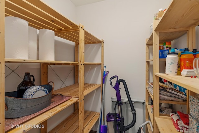 1580 Verde Ln, Mundelein, IL 60060 - view of storage room