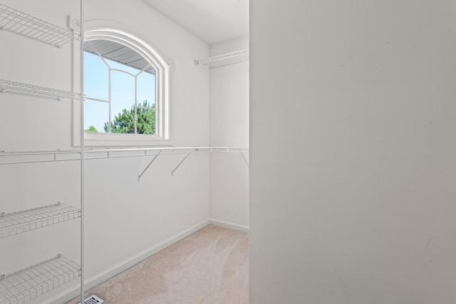 1610 Belclare Rd Unit 0, Normal, IL 61761 - walk in closet featuring light carpet