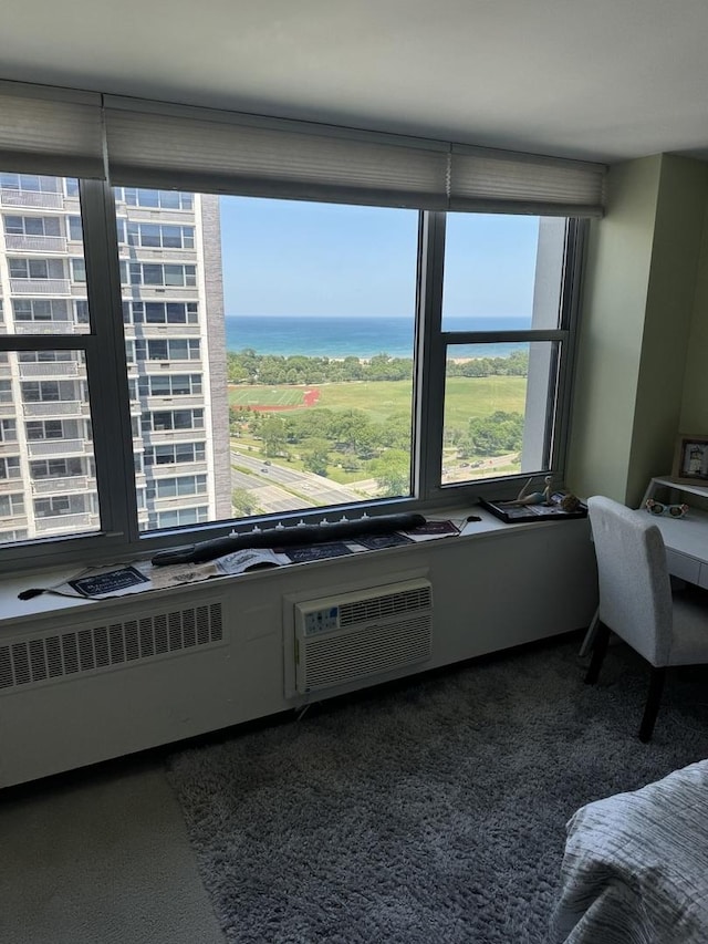 4250 N Marine Dr Unit 2607, Chicago, IL 60613 - bedroom with carpet flooring and a water view
