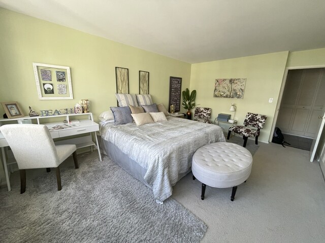 4250 N Marine Dr Unit 2607, Chicago, IL 60613 - bedroom with carpet flooring